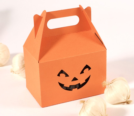 Boîte Pique-Nique en Carton pour Cadeaux